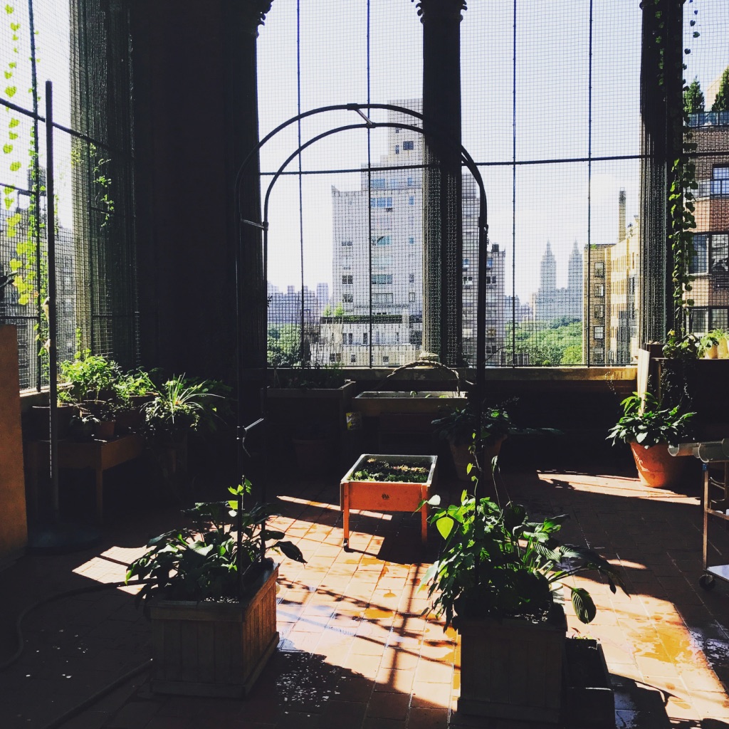 rooftop playground